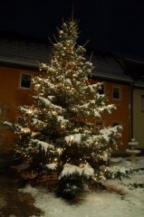 DSC_0089.jpg